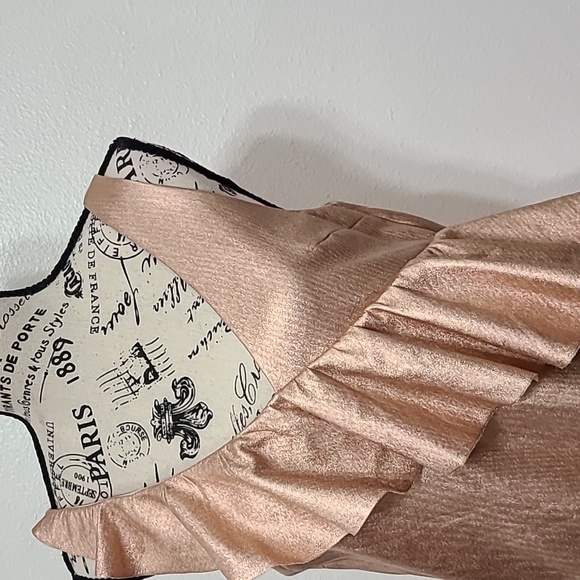 ZARA TRAFALUC COLLECTION GOLDROSE DRESS SIZE XS. - Picture 3 of 11